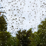 Drops of rain on the window; blurred trees in the background