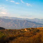 View of a dirt track for hiking in the hills of Hollywood.